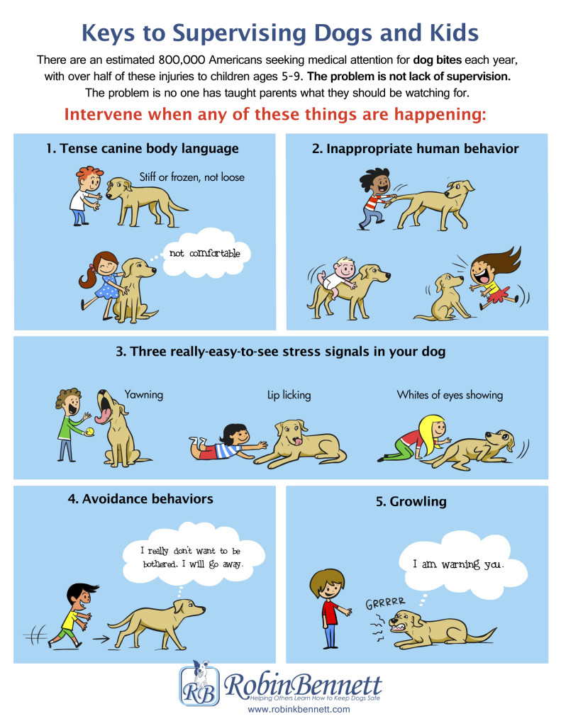 Keys to Supervising Dogs and Kids 8.5x11