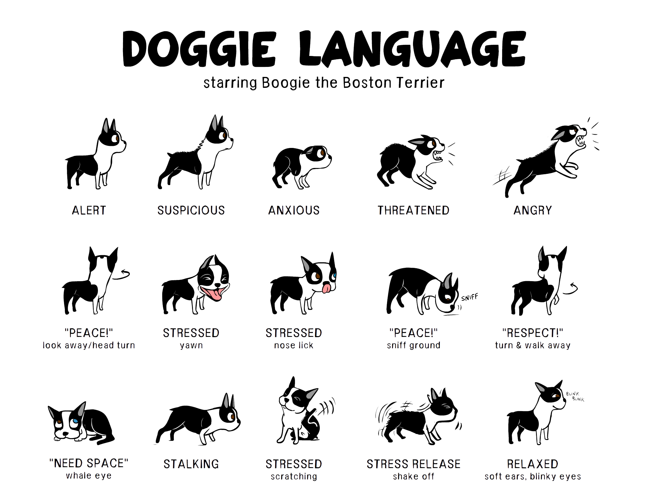 Dog body language chart