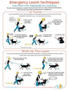 Emergency Leash Techniques - Joyful Dog