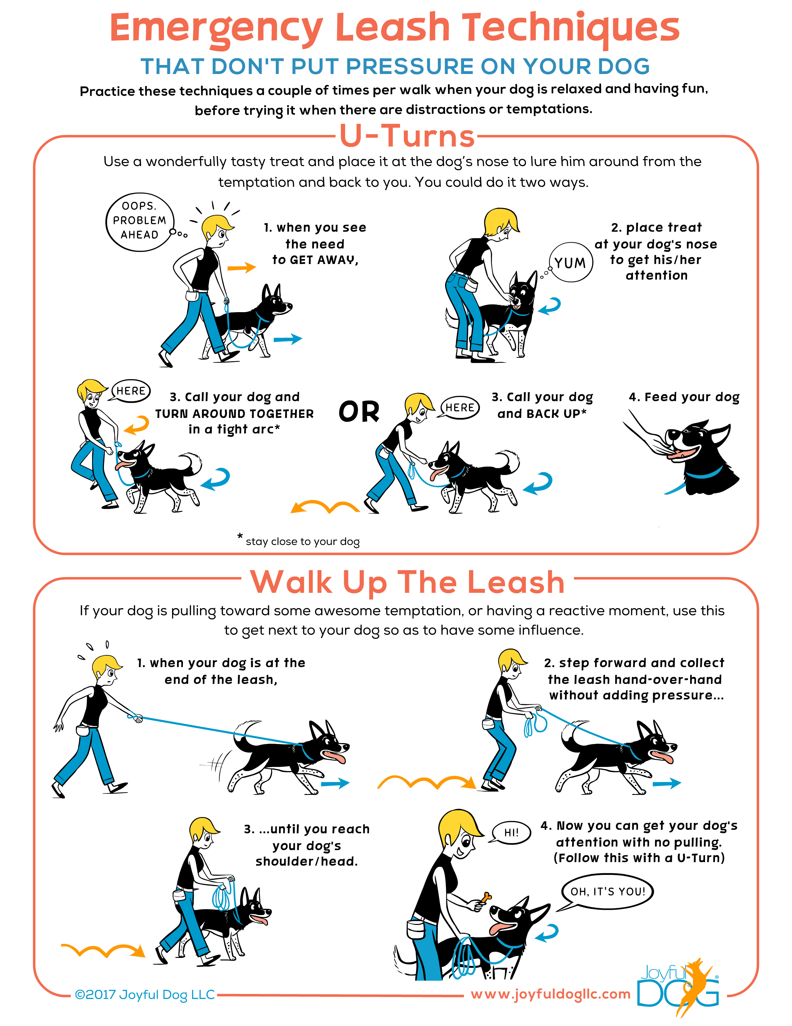 How I Stopped My Dog From Pulling on the Leash - Puppy Leaks